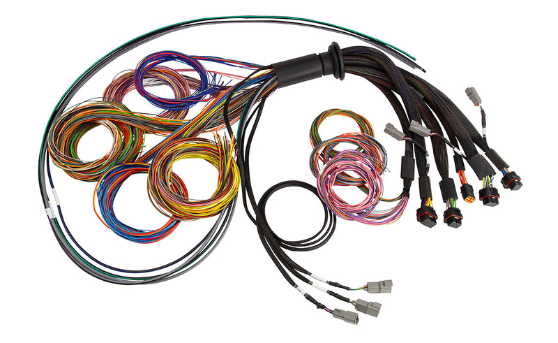 NEXUS R5 Basic Universal Wire-In harness Length: 2.5M